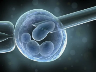 Le cellule staminali per il trattamento del ginocchio